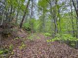 376 Summer House Hollow Road - Photo 7