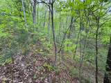 376 Summer House Hollow Road - Photo 8