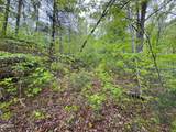 376 Summer House Hollow Road - Photo 9