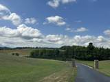2640 Walnut Grove Road - Photo 41