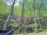 Lot 26 Alpine Drive - Photo 13