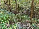 1875 Dyer Hollow Road - Photo 3