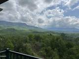 3710 Weber Rd - Photo 19