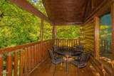 1624 Ski View Drive - Photo 19