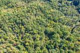 0 Branam Hollow Road Off - Photo 6