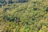 0 Branam Hollow Road Off - Photo 8