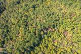 0 Branam Hollow Road Off - Photo 9