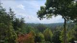 1805 Morning Eagle Lane - Photo 49