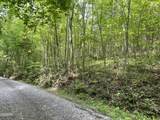 Lot 4 Walden Flats Way - Photo 12