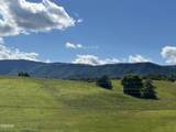127 English Mountain Road - Photo 3