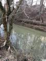 2659 Boyd's Creek Highway Highway - Photo 19