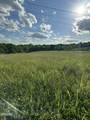 2659 Boyd's Creek Highway Highway - Photo 21