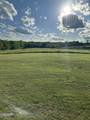 2659 Boyd's Creek Highway Highway - Photo 23
