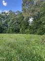 2659 Boyd's Creek Highway Highway - Photo 31