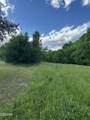 2659 Boyd's Creek Highway Highway - Photo 32