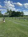 2659 Boyd's Creek Highway Highway - Photo 35