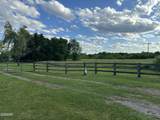 2659 Boyd's Creek Highway Highway - Photo 36