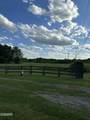 2659 Boyd's Creek Highway Highway - Photo 37