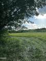 2659 Boyd's Creek Highway Highway - Photo 39