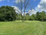 2659 Boyd's Creek Highway Highway - Photo 49