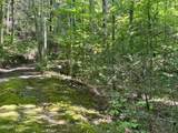 2537 Waldens Creek Road - Photo 39