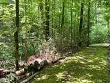 2537 Waldens Creek Road - Photo 40