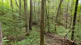 2537 Waldens Creek Road - Photo 48