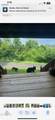 3114 Hatcher Top Road - Photo 56