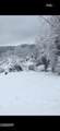 3114 Hatcher Top Road - Photo 58