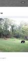 3114 Hatcher Top Road - Photo 62
