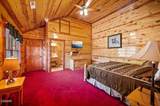 1643 Barn Door Lane - Photo 13