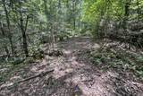 223 Greywolf Way - Photo 73