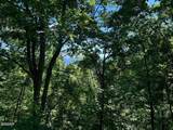 Lot 2 Overholt Trail - Photo 2