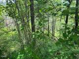 Lot 18 Turkey Creek Way - Photo 10