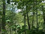 Lot 18 Turkey Creek Way - Photo 11