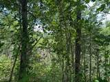Lot 18 Turkey Creek Way - Photo 12