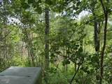 Lot 18 Turkey Creek Way - Photo 13