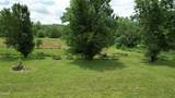 3330 Line Springs Road - Photo 36