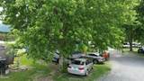 3330 Line Springs Road - Photo 59
