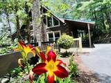 2527 Raccoon Hollow Way - Photo 3