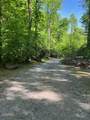 0 Reagan Springs Road - Photo 10
