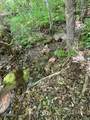 0 Reagan Springs Road - Photo 5
