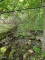 0 Reagan Springs Road - Photo 7