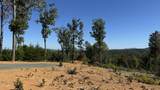 Lot 3 Cove Mountain Road Road - Photo 8