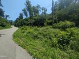 0 Beech Branch Road - Photo 3