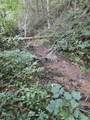 Lot 30 Catons Chapel Road - Photo 13