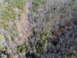 Tract 4 Wilhite Road - Photo 3