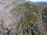 Tract 4 Wilhite Road - Photo 5