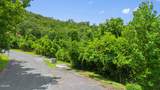 Lot 46 Pine Peak Way - Photo 13