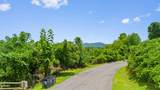 Lot 46 Pine Peak Way - Photo 14